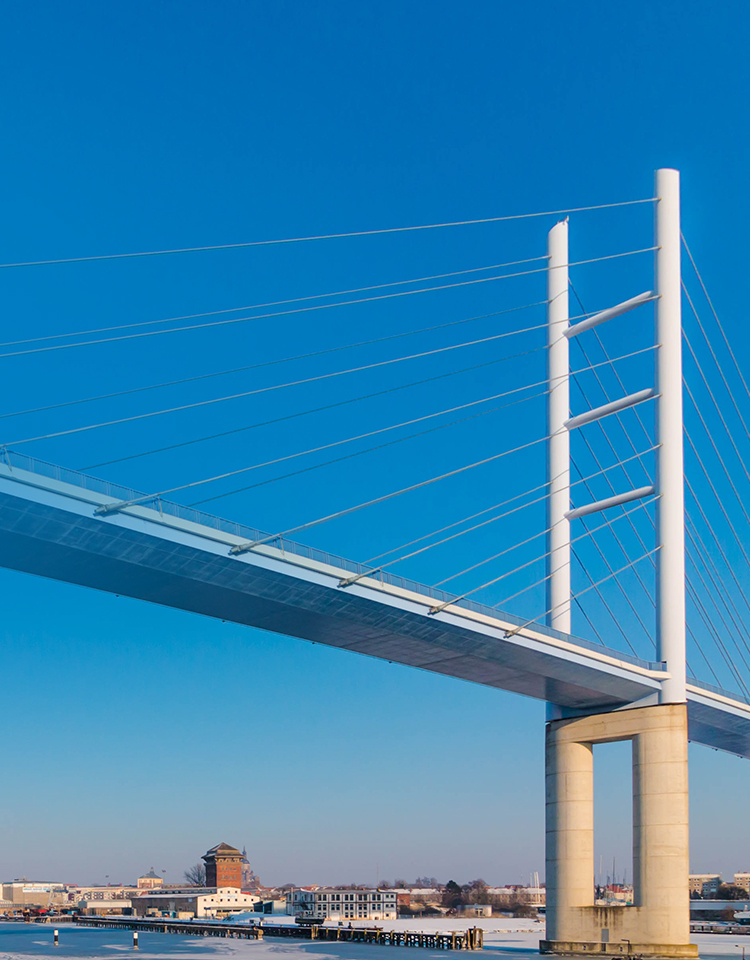 全球500強(qiáng)化工企業(yè)和中國500強(qiáng)<br>化工企業(yè)之間的服務(wù)貿(mào)易